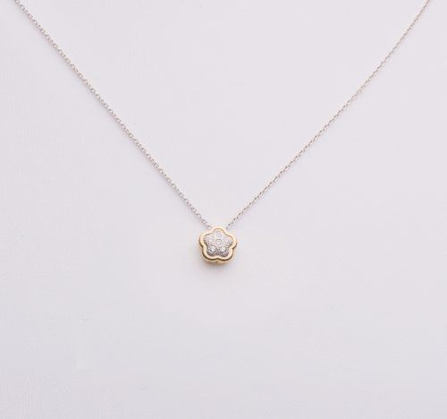 collares 81